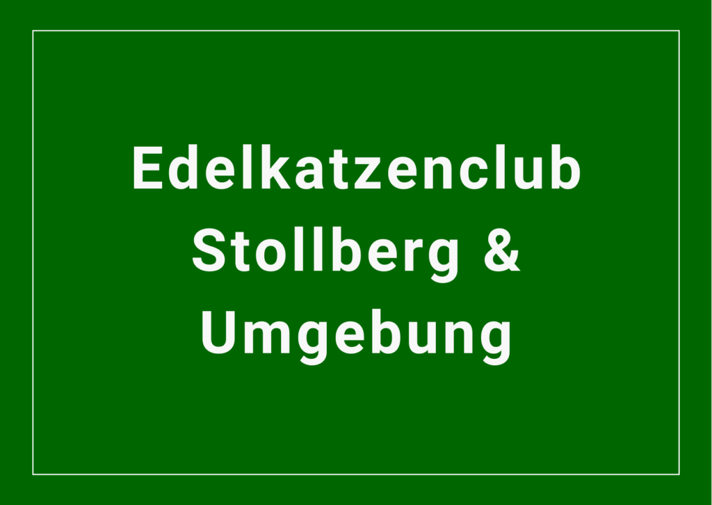 Edelkatzenclub Stollberg & Umgebung